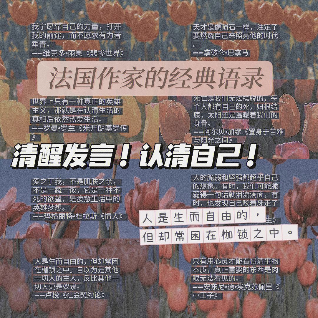 包含Scout新星领先优势明显表现突出，法国队前途光明！的词条